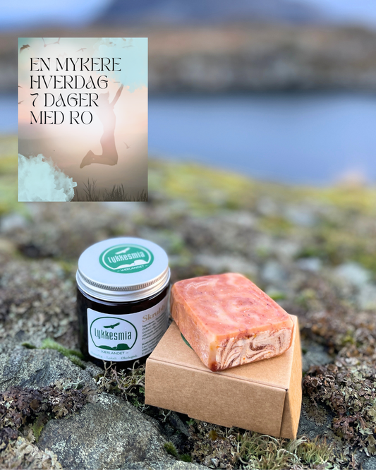 Hverdagsro – Lavendelpakken